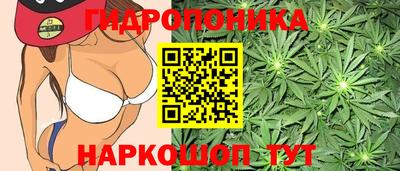 тгк Рыбинск