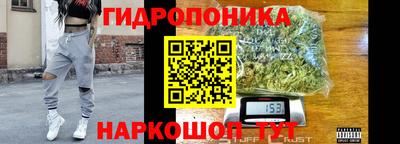 тгк Рыбинск