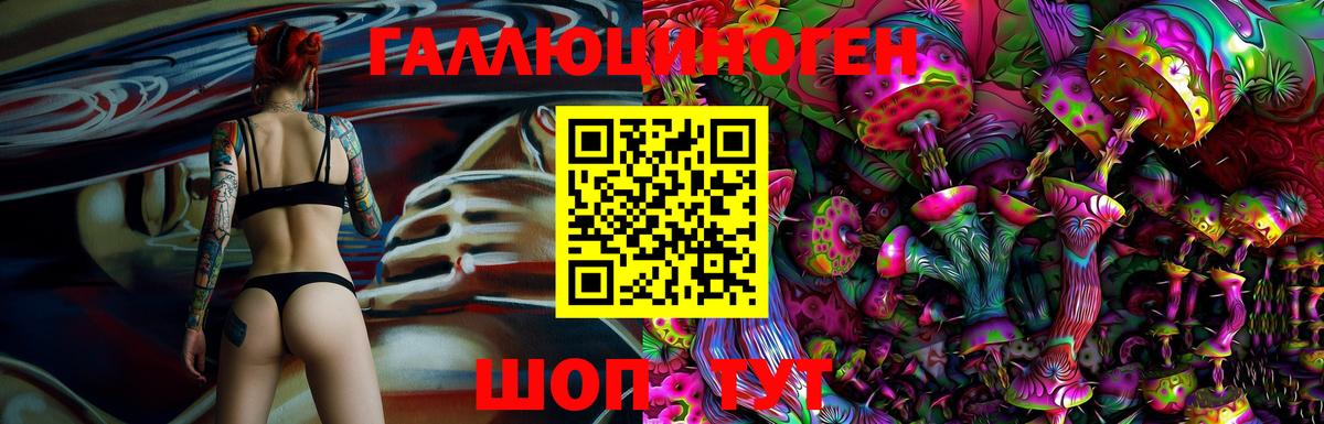 Псилоцибиновые грибы Cubensis Чехов