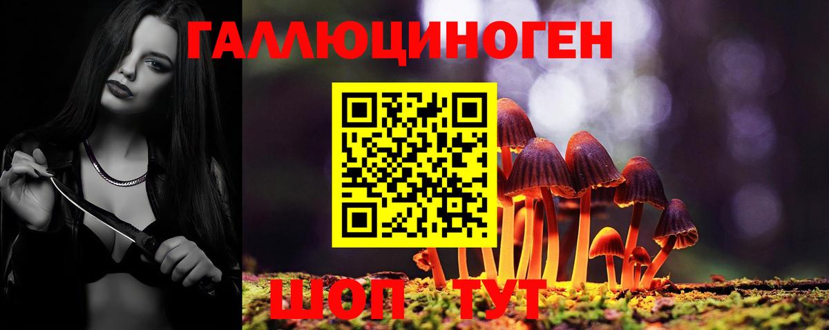 Псилоцибиновые грибы Magic Shrooms  Вход с VPN  Чехов 